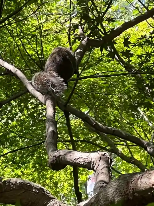 浄智寺(神奈川県)