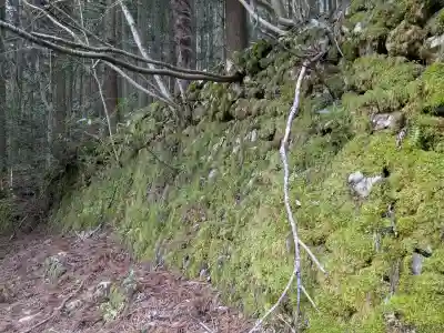 井戸神社の{uncategorized: "未分類", other: "その他", undefined: "問題あり", building: "その他建物", grave: "お墓", sacred_gate: "鳥居", guardian: "狛犬", statue: "像", buddha: "仏像", history: "歴史", nature: "自然", garden: "庭園", animal: "動物", pagoda: "塔", temizu: "手水舎", mountain_gate: "山門・神門", sanctuary: "本殿・本堂", subordinate: "末社・摂社", art: "芸術", scenery: "景色", jizo: "地蔵", ema: "絵馬", goshuin: "御朱印", omikuji: "おみくじ", items: "授与品その他", amulet: "お守り", goshuincho: "御朱印帳", eats: "食事", festival: "お祭り", votive_dance: "神楽", shichigosan: "七五三参", wedding: "結婚式", experience: "体験その他", initially: "初詣", around: "周辺", anti_infection: "感染症対策"}