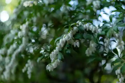 平安神宮(京都府)