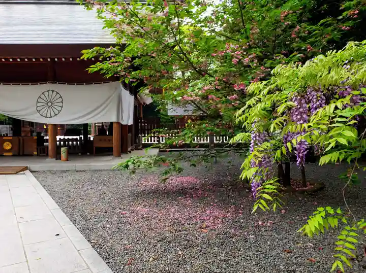 阿佐ヶ谷神明宮(東京都)