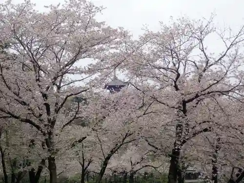 根岸八幡神社(神奈川県)