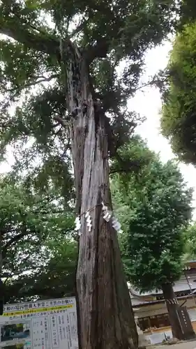 居木神社(東京都)