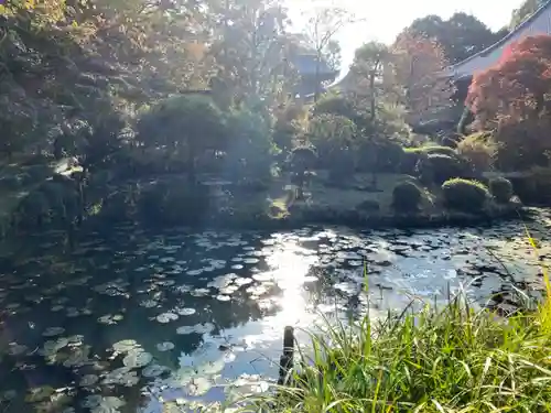 天台宗　長窪山　正覚寺の庭園