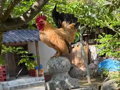 忌宮神社(山口県)