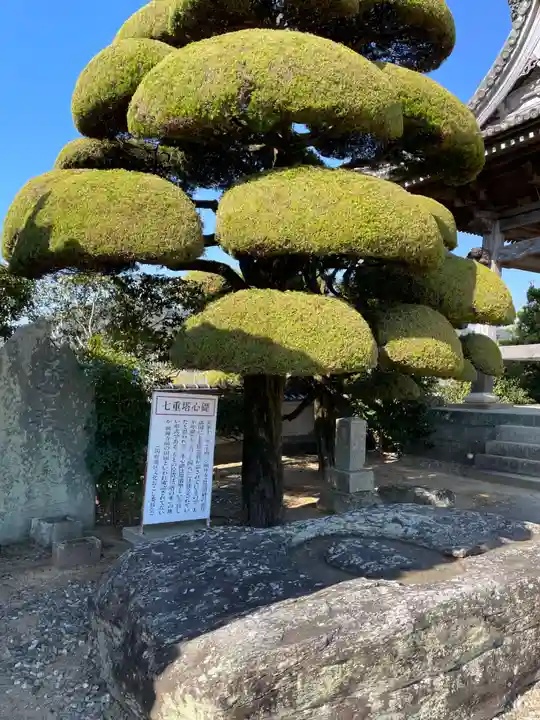 国分寺(徳島県)