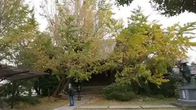 祐専寺のその他建物