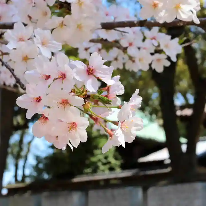 三津厳島神社(愛媛県)