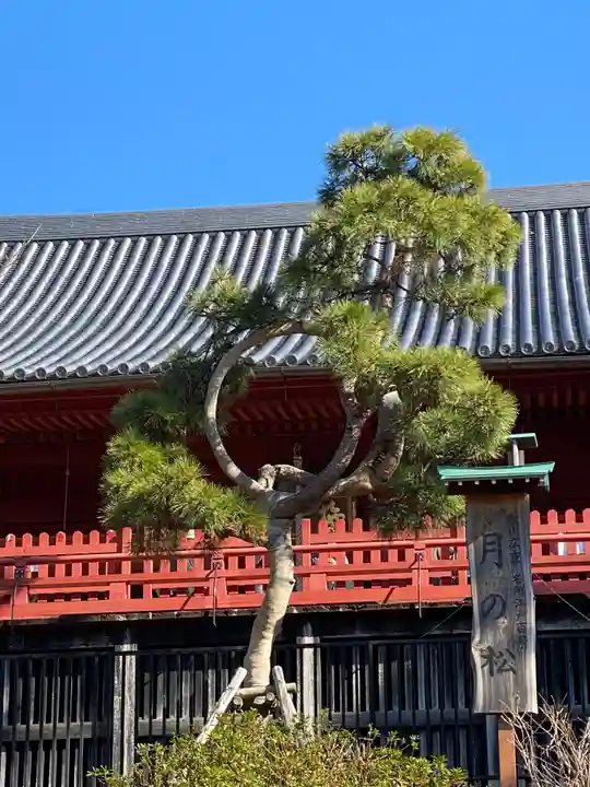 清水観音堂の庭園