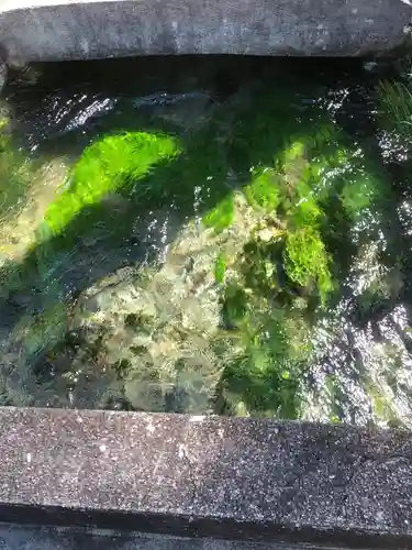 乃木神社の自然