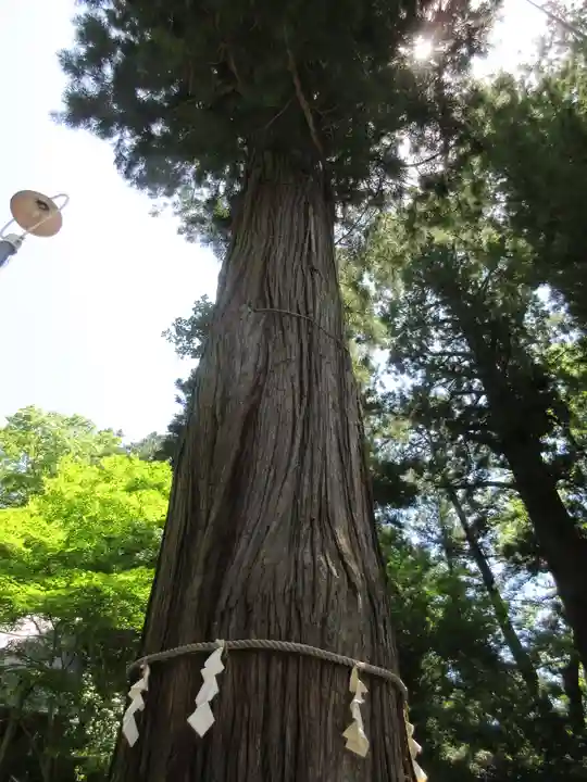 河口浅間神社のその他建物