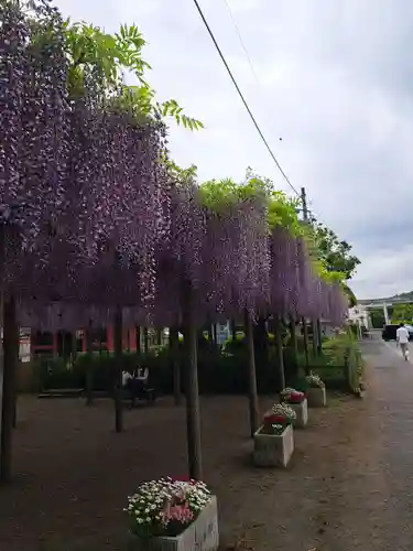 日吉神社(東京都)
