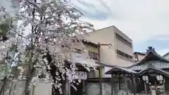 石像寺（釘抜地蔵）の自然