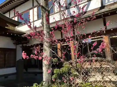 観蔵院 曼荼羅寺(東京都)