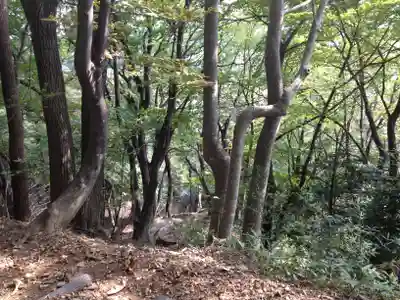 刈田嶺神社の周辺