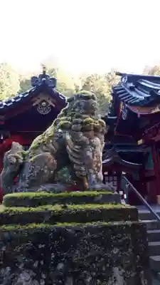 箱根神社の狛犬
