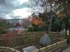 師岡熊野神社(神奈川県)