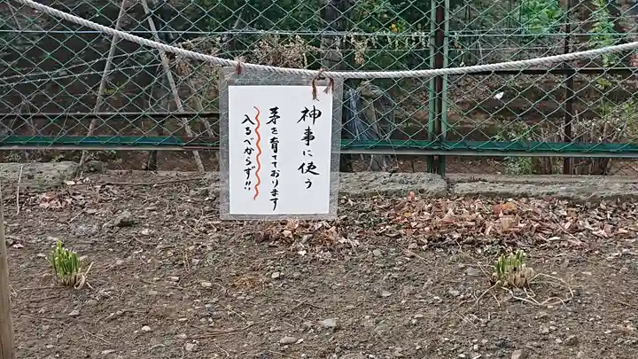 諏訪神社のその他建物