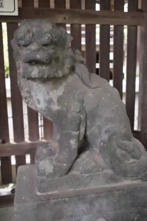 川口神社の狛犬