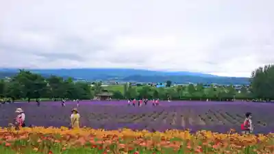 富良野神社の周辺