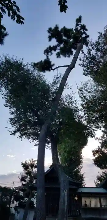 上小岩天祖神社(東京都)