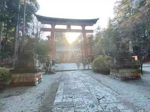 北口本宮冨士浅間神社の鳥居