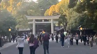 明治神宮(東京都)