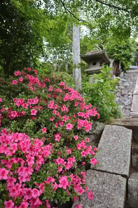 三室戸寺(京都府)