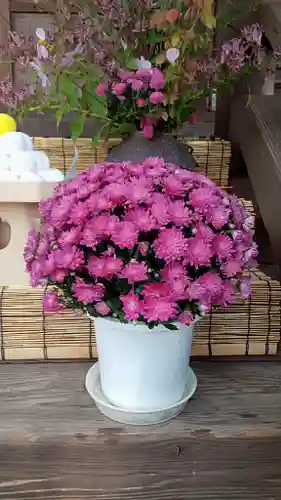 阿邪訶根神社の自然