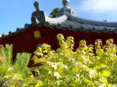 長光寺の建物その他