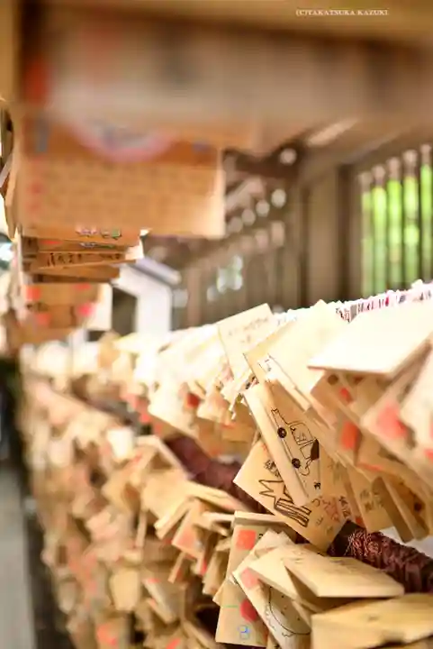 川越氷川神社(埼玉県)