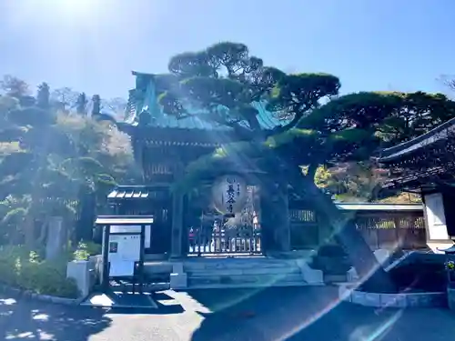長谷寺の山門・神門