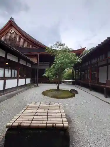 建仁寺（建仁禅寺）の庭園