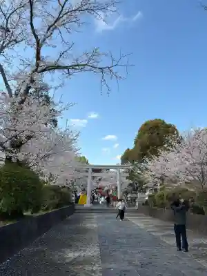 富士山本宮浅間大社(静岡県)