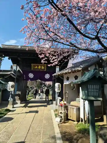 密藏院の{uncategorized: "未分類", other: "その他", undefined: "問題あり", building: "その他建物", grave: "お墓", sacred_gate: "鳥居", guardian: "狛犬", statue: "像", buddha: "仏像", history: "歴史", nature: "自然", garden: "庭園", animal: "動物", pagoda: "塔", temizu: "手水舎", mountain_gate: "山門・神門", sanctuary: "本殿・本堂", subordinate: "末社・摂社", art: "芸術", scenery: "景色", jizo: "地蔵", ema: "絵馬", goshuin: "御朱印", omikuji: "おみくじ", items: "授与品その他", amulet: "お守り", goshuincho: "御朱印帳", eats: "食事", festival: "お祭り", votive_dance: "神楽", shichigosan: "七五三参", wedding: "結婚式", experience: "体験その他", initially: "初詣", around: "周辺", anti_infection: "感染症対策"}