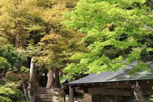 鹿島大神宮の景色