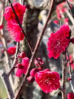 長岡天満宮(京都府)