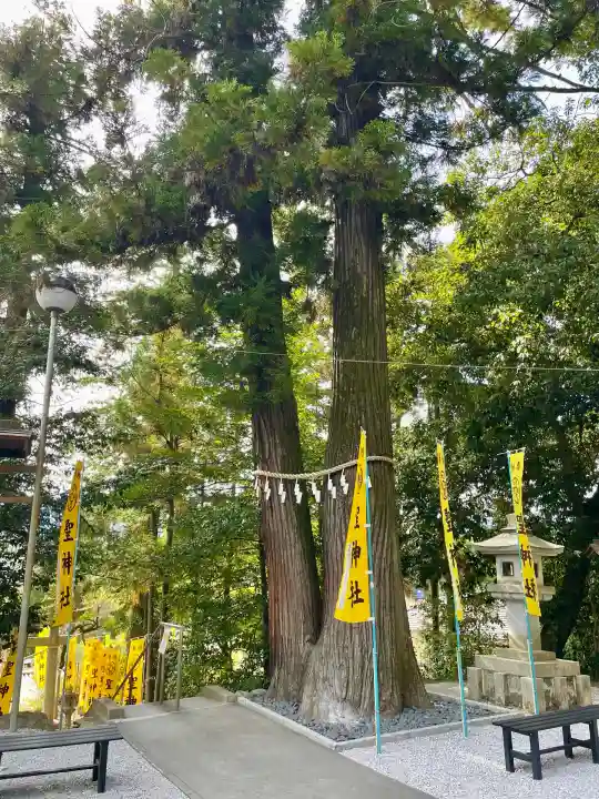 聖神社(埼玉県)