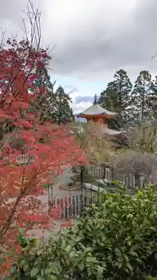 正法寺(京都府)