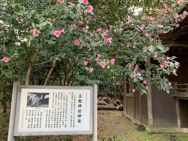玉敷神社のその他建物