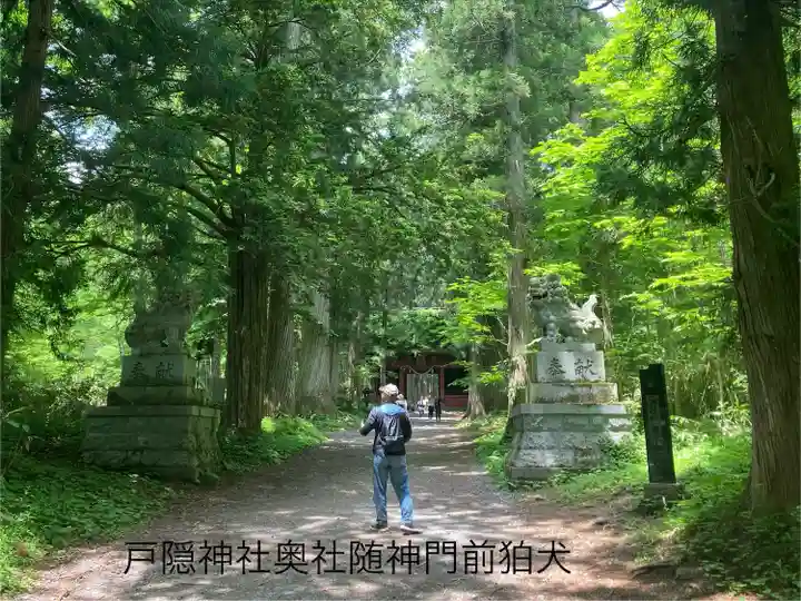 戸隠神社九頭龍社(長野県)