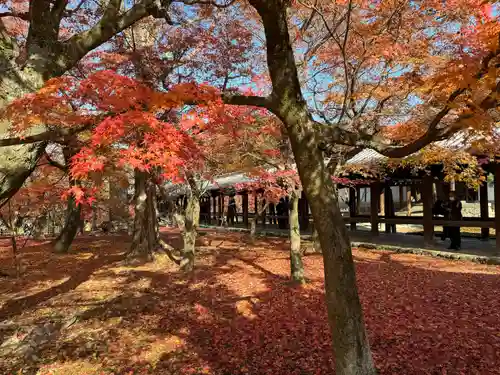 東福禅寺（東福寺）(京都府)