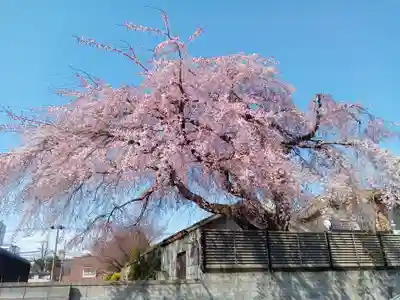 成覚寺(宮城県)