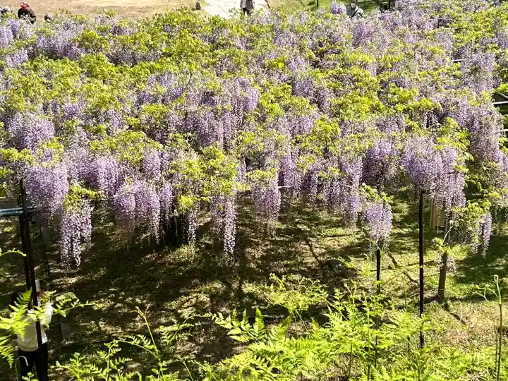 天台宗 五大山 白毫寺(兵庫県)