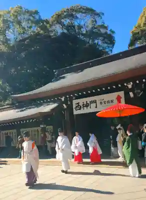 明治神宮(東京都)