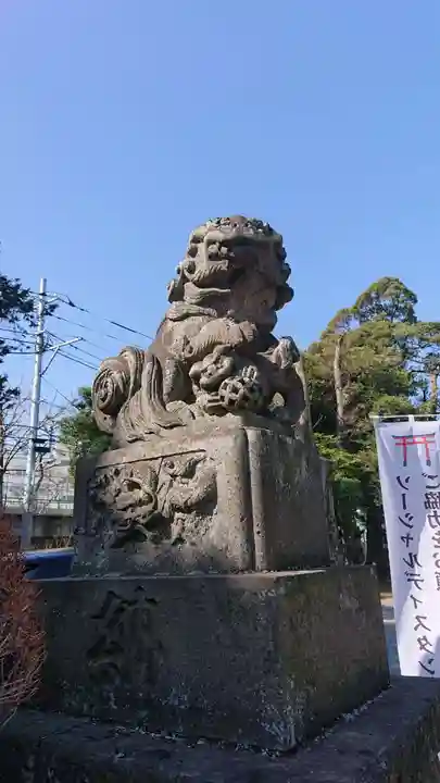 高円寺天祖神社の狛犬