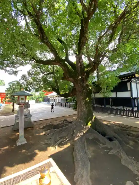 穴八幡宮(東京都)