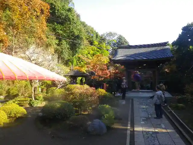 海蔵寺の庭園