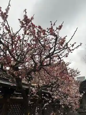 湯島天満宮(東京都)