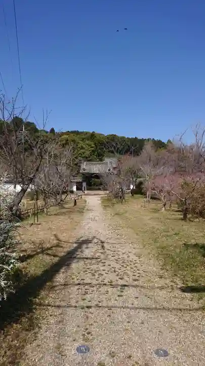 興福院(奈良県)
