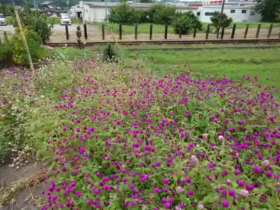 高瀧神社(千葉県)